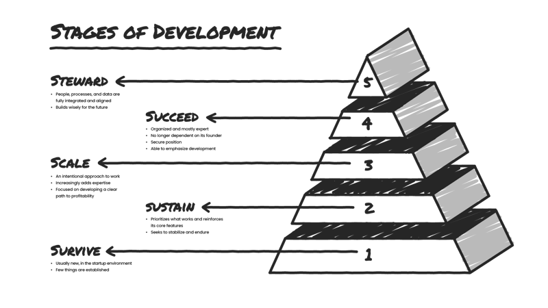 Stages of Development Illustration — Ninety