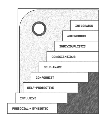 A graphic with rectangles arranged vertically like a staircase shows Loevinger's stages of ego development.