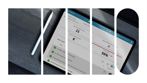 A screenshot of the Short-Term Issues tool from the Ninety app.