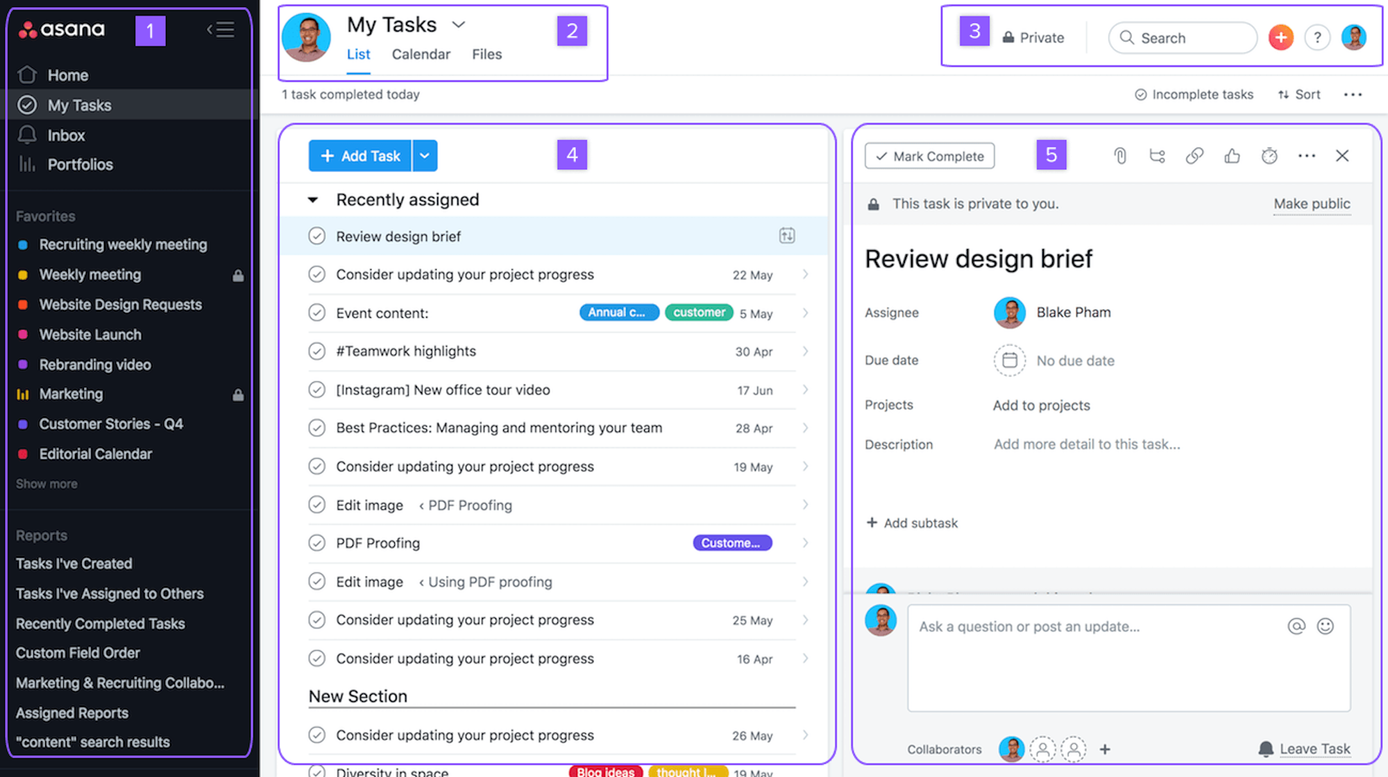 asana-main-interface