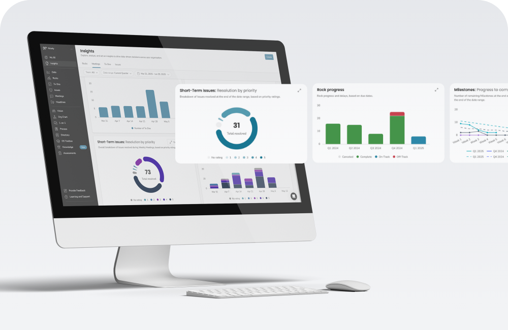 reporting insights