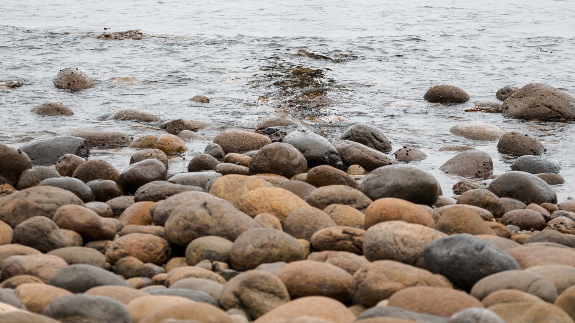 Assorted rocks and pebbles on a shoreline, illustratingthe 'rocks, pebbles, and sand' goals analogy.
